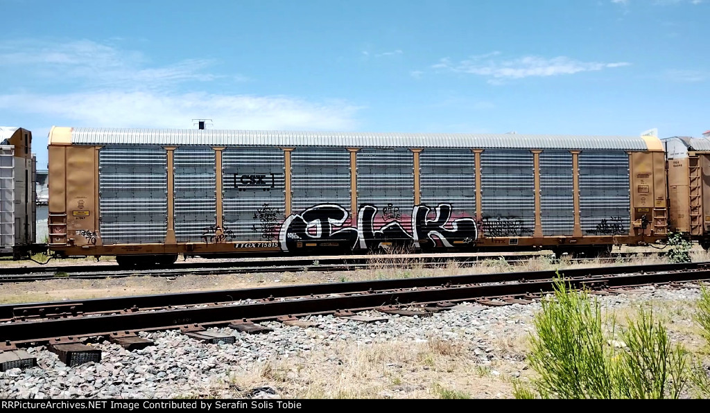 TTGX 715815 Rack CSX Con Grafiti 